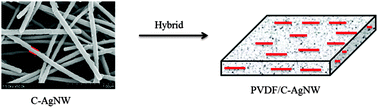 Graphical abstract: Investigation of one-dimensional multi-functional zwitterionic Ag nanowires as a novel modifier for PVDF ultrafiltration membranes