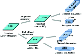 Graphical abstract: Synthesis of [111]- and {010}-faceted anatase TiO2 nanocrystals from tri-titanate nanosheets and their photocatalytic and DSSC performances