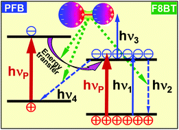 Graphical abstract: Stimulated emission within the exciplex band by plasmonic-nanostructured polymeric heterojunctions