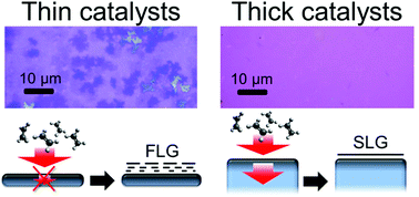 Graphical abstract: Towards a general growth model for graphene CVD on transition metal catalysts