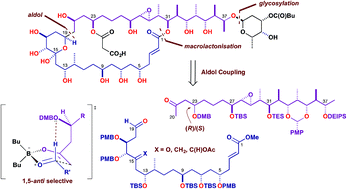 Graphical abstract: Synthetic studies toward the brasilinolides: controlled assembly of a protected C1–C38 polyol based on fragment union by complex aldol reactions