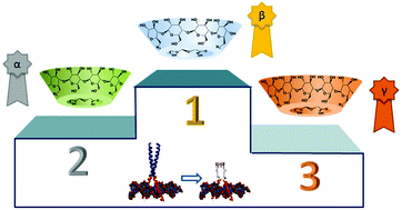 Graphical abstract: Cyclodextrin–peptide conjugates for sequence specific DNA binding