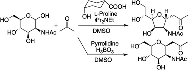 Direct synthesis of C-glycosides from unprotected 2-N-acyl-aldohexoses ...