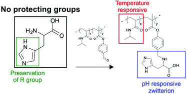 Graphical abstract: Facile synthesis of histidine functional poly(N-isopropylacrylamide): zwitterionic and temperature responsive materials