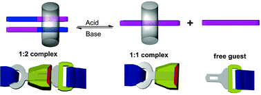 Graphical abstract: A thermally stable pH-responsive “supramolecular buckle” based on the encapsulation of 4-(4-aminophenyl)-N-methylpyridinium by cucurbit[8]uril