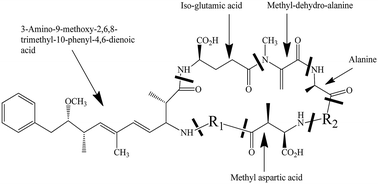 Graphical abstract: Control of Microcystis aeruginosa growth and associated microcystin cyanotoxin remediation by electron beam irradiation (EBI)