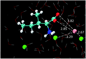 Graphical abstract: Understanding the cation specific effects on the aqueous solubility of amino acids: from mono to polyvalent cations