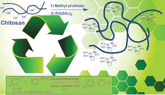 Graphical abstract: Proline-functionalized chitosan–palladium(ii) complex, a novel nanocatalyst for C–C bond formation in water