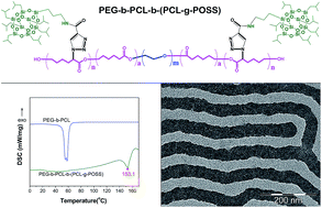 Modification Of Peg B Pcl Block Copolymer With High Melting Temperature By The Enhancement Of