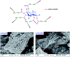 Graphical abstract: Star-like nanostructured polyaniline and polyanisidine prepared from d-glucose: synthesis, characterization, and properties