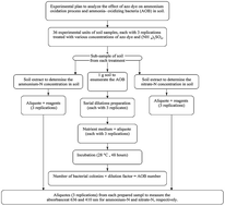 Graphical abstract: Effect of azo dye on ammonium oxidation process and ammonia-oxidizing bacteria (AOB) in soil