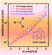 Graphical abstract: Extraction of actinides by tertiary amines in room temperature ionic liquids: evidence for anion exchange as a major process at high acidity and impact of acid nature