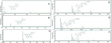 Graphical abstract: Standardized extracts from black bean coats (Phaseolus vulgaris L.) prevent adverse cardiac remodeling in a murine model of non-ischemic cardiomyopathy