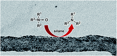 Graphical abstract: Deoxygenation of amine N-oxides using gold nanoparticles supported on carbon nanotubes