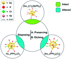 Graphical abstract: Ligand-induced change of the crystal structure and enhanced stability of the Au11 nanocluster