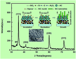 Graphical abstract: Ultra-long SiC nanowires synthesized by a simple method