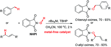 Graphical abstract: nBu4NI-catalyzed intermolecular C–O cross-coupling reactions: synthesis of alkyloxyamines