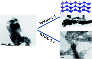 Graphical abstract: Ultrathin tungsten oxide nanowires: oleylamine assisted nonhydrolytic growth, oxygen vacancies and good photocatalytic properties