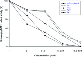 Graphical abstract: Synthesis of phenolic amides and evaluation of their antioxidant and anti-inflammatory activity in vitro and in vivo