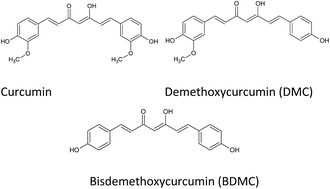 Graphical abstract: Recent advances of curcumin and its analogues in breast cancer prevention and treatment