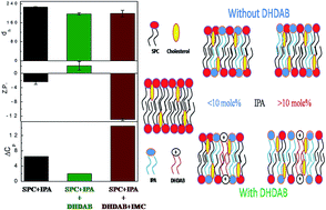 Graphical abstract: Effect of double tailed cationic surfactants on the physicochemical behavior of hybrid vesicles