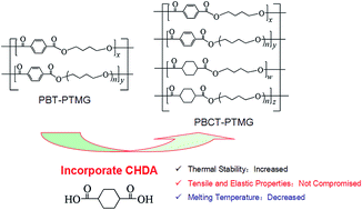 Graphical abstract: Incorporation of 1,4-cyclohexanedicarboxylic acid into poly(butylene terephthalate)-b-poly(tetramethylene glycol) to alter thermal properties without compromising tensile and elastic properties