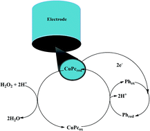 Graphical abstract: Copper phthalocyanine modified SiO2/C electrode as a biomimetic electrocatalyst for 4-aminophenol in the development of an amperometric sensor