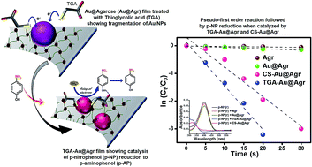 Graphical abstract: Fragmentation of supported gold nanoparticles@agarose film by thiols and the role of their synergy in efficient catalysis