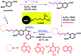 Graphical abstract: Synthesis of new α-aminophosphonate derivatives incorporating benzimidazole, theophylline and adenine nucleobases using l-cysteine functionalized magnetic nanoparticles (LCMNP) as magnetic reusable catalyst: evaluation of their anticancer properties