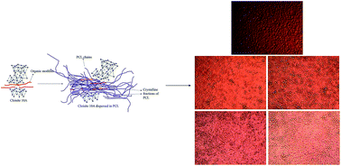 Graphical abstract: Segmental dynamics, morphology and thermomechanical properties of electrospun poly(ε-caprolactone) nanofibers in the presence of an interacting filler