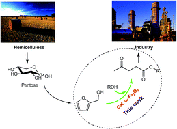 Efficient conversion of biomass-derived furfuryl alcohol to levulinate ...