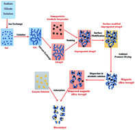 Graphical abstract: Candida rugosa lipase immobilization on magnetic silica aerogel nanodispersion