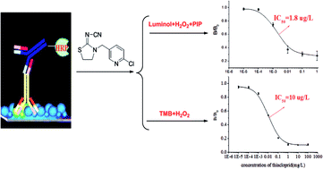 Graphical abstract: Sensitive detection of thiacloprid in environmental and food samples by enhanced chemiluminescent enzyme immunoassay