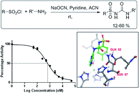 Graphical abstract: Design and development of sulfonylurea derivatives as zinc metalloenzyme modulators