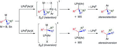 Graphical abstract: Configurationally stable, enantioenriched organometallic nucleophiles in stereospecific Pd-catalyzed cross-coupling reactions: an alternative approach to asymmetric synthesis