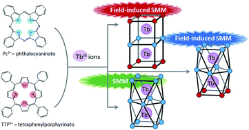 Graphical abstract: Symmetry of octa-coordination environment has a substantial influence on dinuclear TbIII triple-decker single-molecule magnets