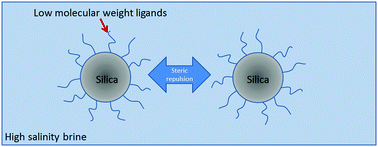 Steric stabilization of nanoparticles with grafted low molecular weight ...