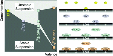 Graphical abstract: Ion specific effects on the stability of layered double hydroxide colloids