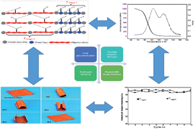 Graphical abstract: Synthesis, structure and tunable shape memory properties of polytriazoles: dual-trigger temperature and repeatable shape recovery