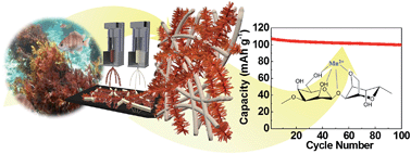 Graphical abstract: Agarose-biofunctionalized, dual-electrospun heteronanofiber mats: toward metal-ion chelating battery separator membranes