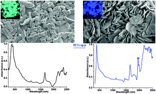 Graphical abstract: Morphology-controllable fabrication of organic microcrystals by solid-phase reactions: revealing morphology-sensitive highly efficient phosphorescence and enhanced near-infrared absorption