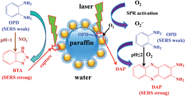 Graphical abstract: A new plasmonic Pickering emulsion based SERS sensor for in situ reaction monitoring and kinetic study