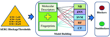 Graphical abstract: In silico prediction of hERG potassium channel blockage by chemical category approaches