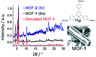 Graphical abstract: Alkaline-earth phosphonate MOFs with reversible hydration-dependent fluorescence