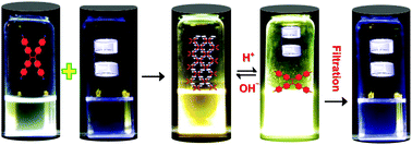 Graphical abstract: The first water-soluble pillar[5]arene dimer: synthesis and construction of a reversible fluorescent supramolecular polymer network in water