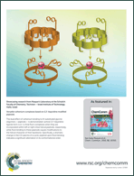 Graphical abstract: Inside back cover