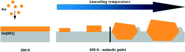 Graphical abstract: Dynamics of thermally induced assembly of Au nanoislands from a thin Au layer on Ge(001)