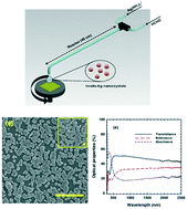 Graphical abstract: Visible to infrared plasmonic absorption from silver nanostructures enabled by microreactor-assisted solution deposition