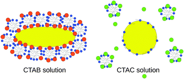 Graphical abstract: The role of halide ions in the anisotropic growth of gold nanoparticles: a microscopic, atomistic perspective