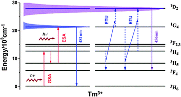 Graphical abstract: Mechanisms of the blue emission of NaYF4:Tm3+ nanoparticles excited by an 800 nm continuous wave laser